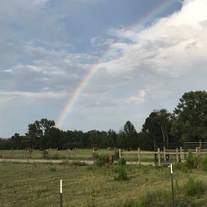 Meet your Posher, Meagan